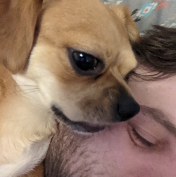 Meet your Posher, Greg - Picture 5 of 5